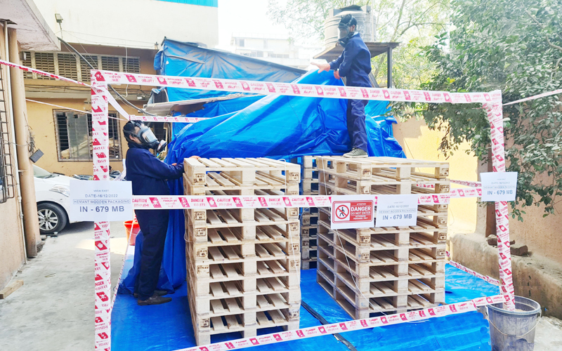 Palletization Fumigation